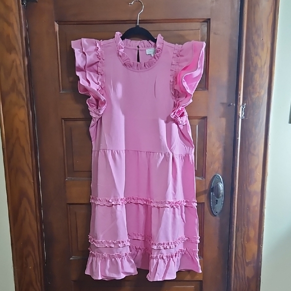 Pink Ruffle Dress - Picture 3 of 8